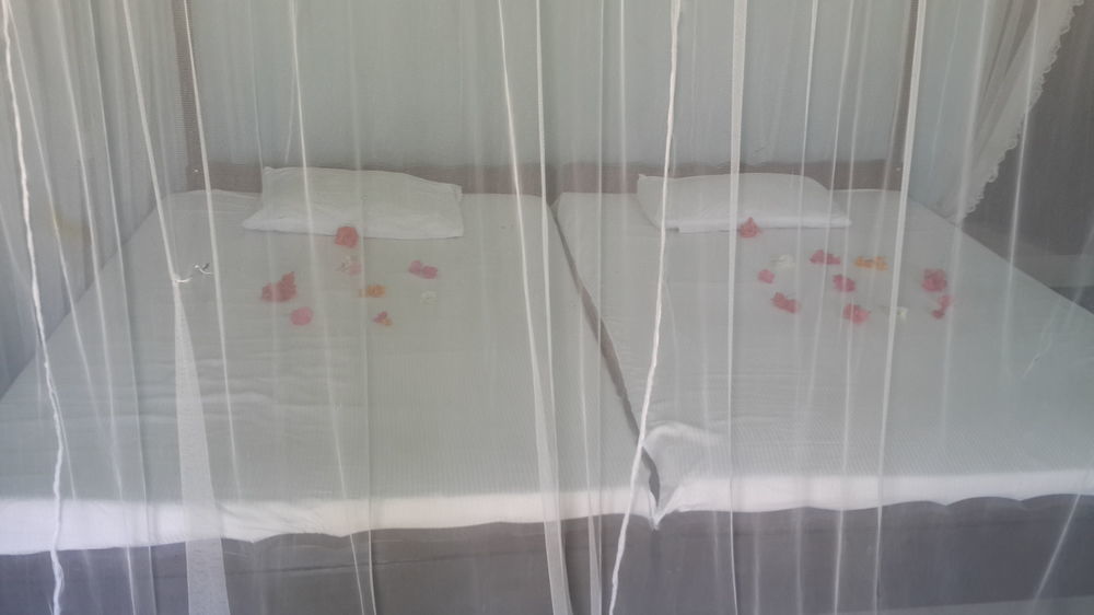 Sea Song Bed & Breakfast Unawatuna Bagian luar foto